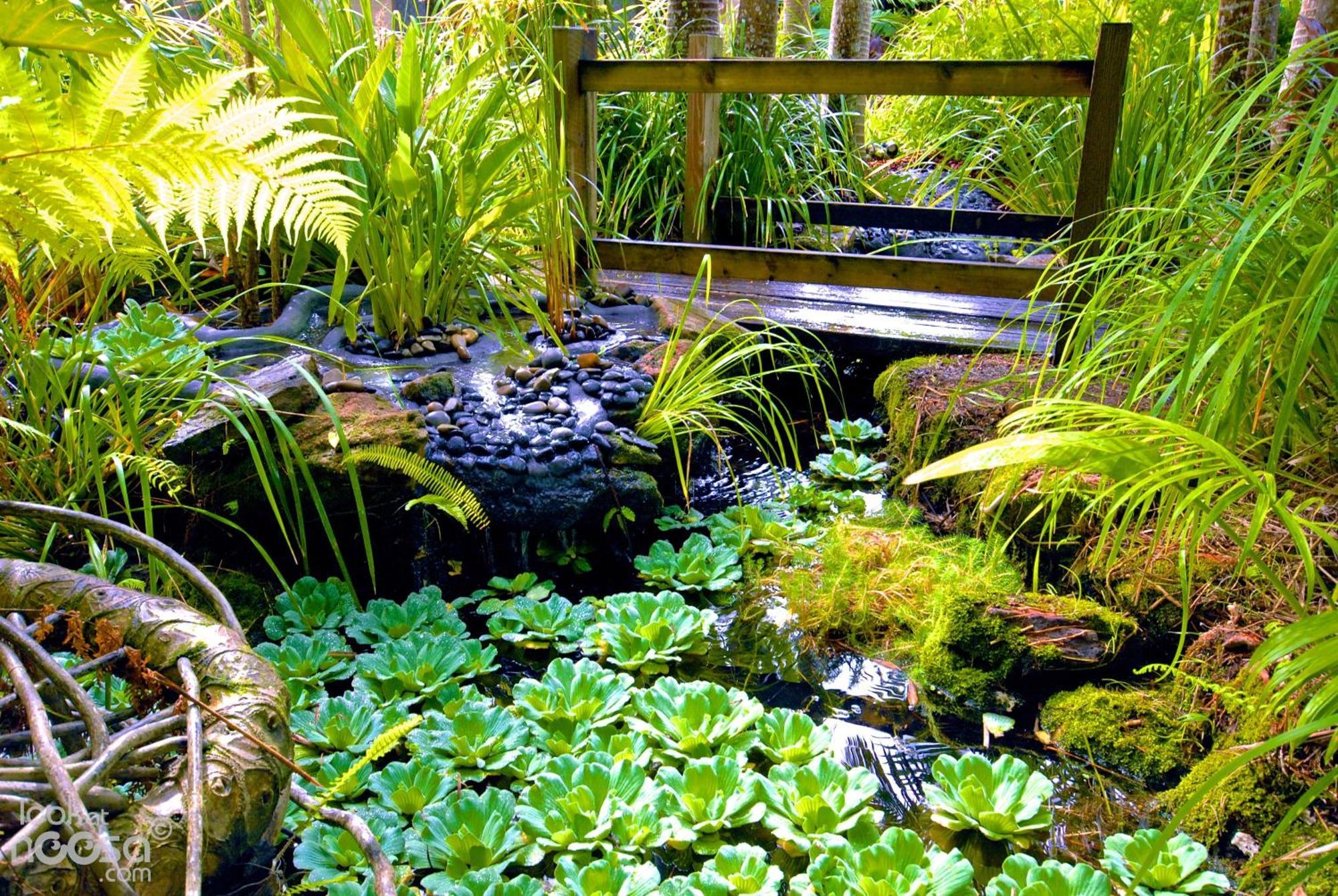 Noosa Village River Resort Noosaville Εξωτερικό φωτογραφία